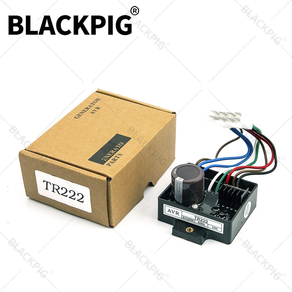 TR222 EG2500 AVR Automatic Vol - Cycloidal Reducer Bldc Motor ulasan dan harga